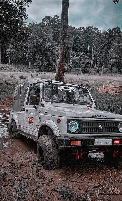 他们虽然不 他们虽然不