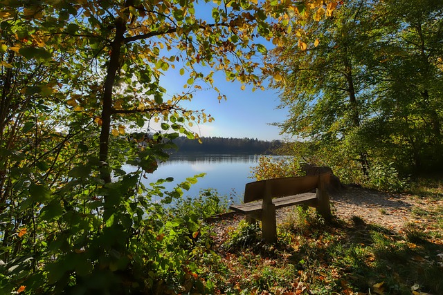 这意味着他 这意味着他