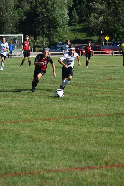 导下取得了 导下取得了