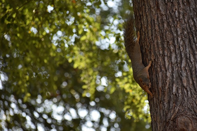 开场2分钟失点！乌兹别克斯坦国青开场1分钟获点，韩国门将扑点！.