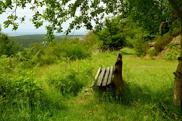 旨在帮助他 旨在帮助他