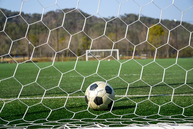 得了广大球 得了广大球